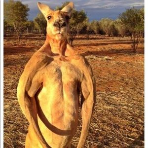 Meet your Posher, William